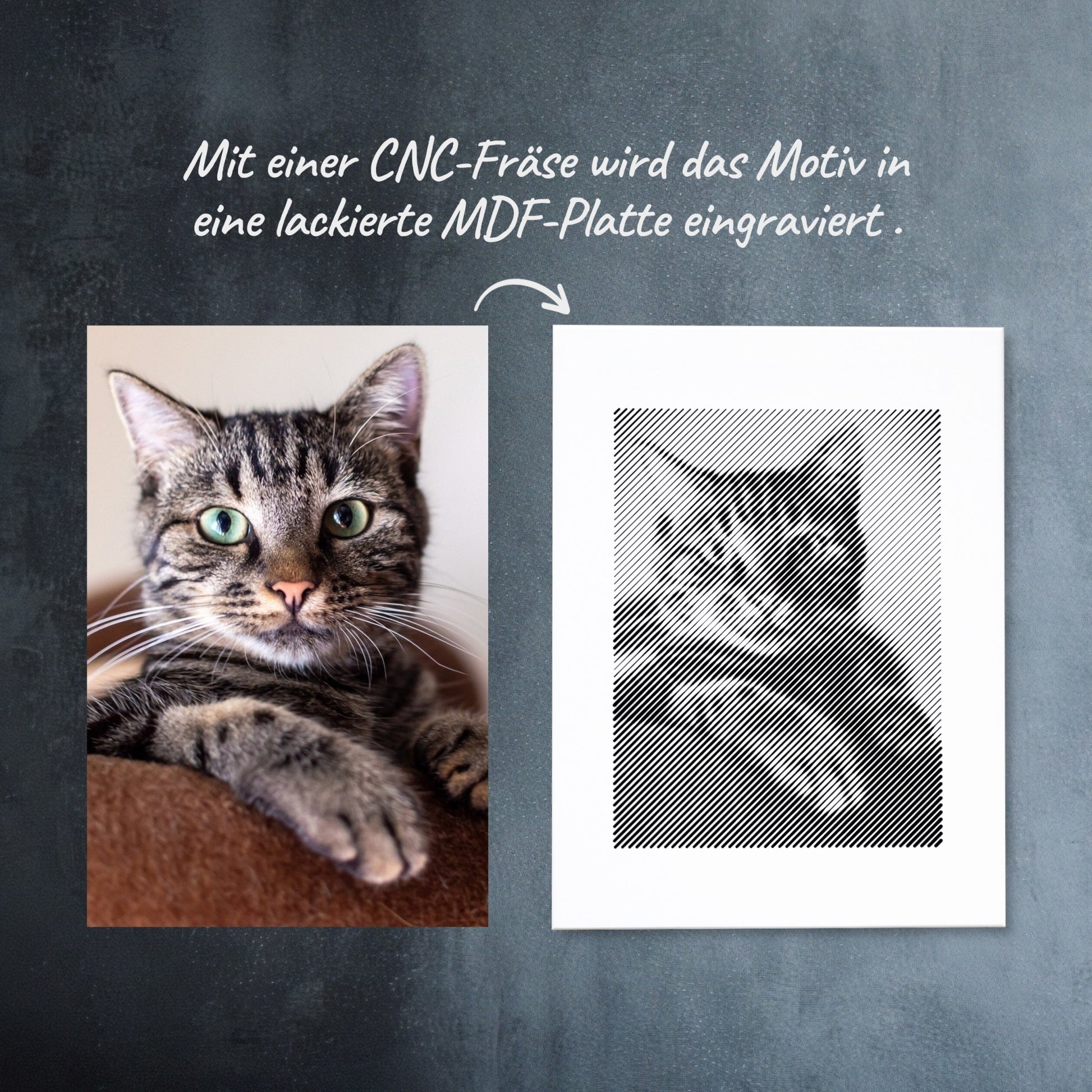 Vorher-Nachher-Vergleich: Wie aus einem Foto ein schwarz-weißes Tierportrait als Fotogravur wird – ein einzigartiges Andenken.